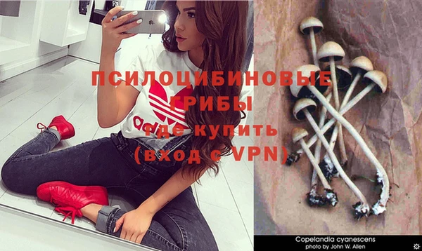 ALPHA-PVP Заволжье