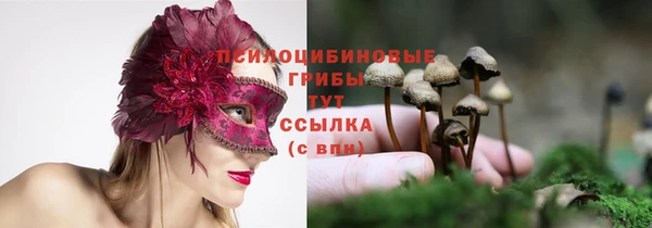 индика Заволжск