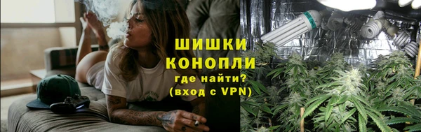 индика Заволжск