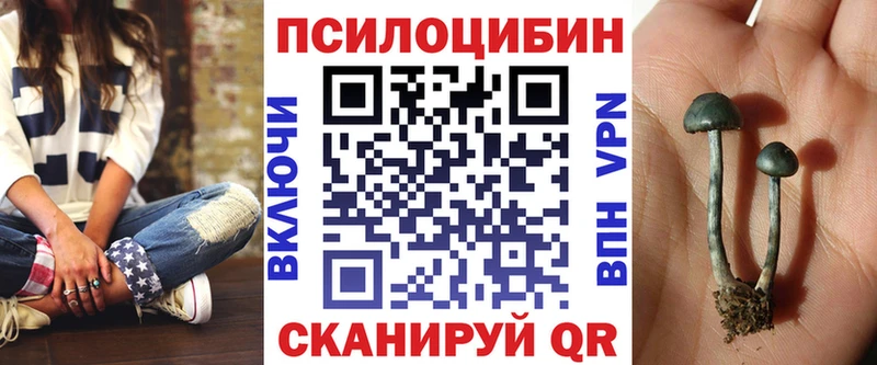 Галлюциногенные грибы Psilocybine cubensis  Купить где  Северск 